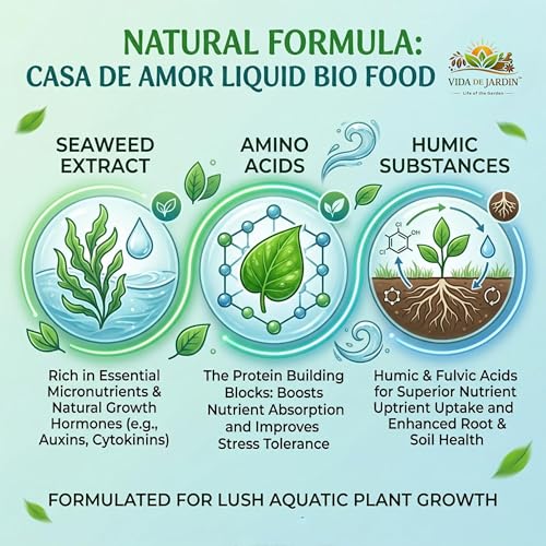 Image of Bamboo Plant Food Liquid Bio Food, for Lucky Bamboo, Money Plants and Aquatic Plants, 50 ml (Pack of 1)