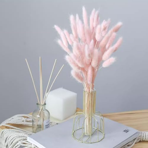 Miniatura 3 de 60 piezas de flores secas de cola de conejo, arreglo floral natural seco, ramo de decoración de hierba seca, flores eternas secas para el hogar,