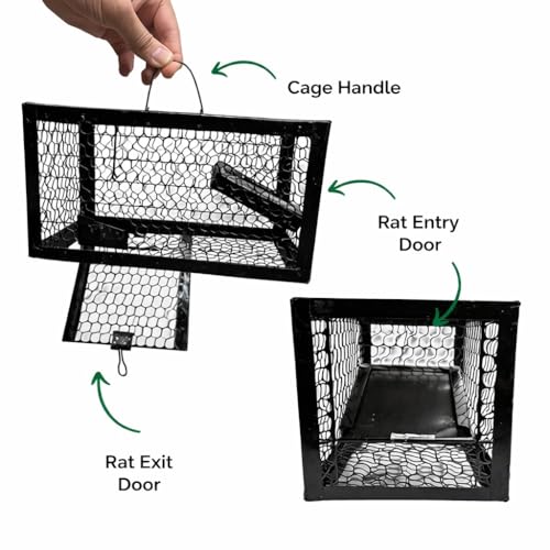 Image of PulGos Pack of 2 Mouse Trap Cage Rats | Heavy Duty Iron Rat Trap (Chuha Pinjara) | Rustproof Metal Catch & Release Trapper | Durable Rodent Cage for Home, Kitchen Use(Black)