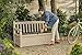 Keter Eden Garden Bench - Banco Arcón Exterior, Capacidad 265 L, Color...