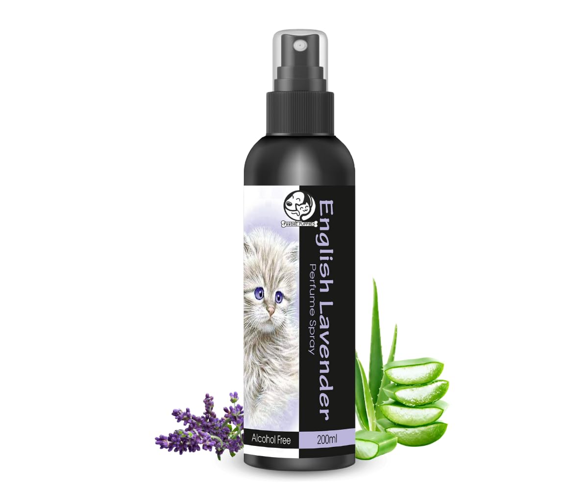 Foodie Puppies Cat Perfume Spray English Lavender - 200ml | Extract of Lavender and Aloe-Vera | Daily Deodorizer for Odor Control, Safe Formula for Regular Use, Coat Perfume for Cats & Kittens
