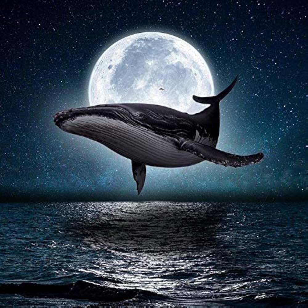 ダイアモンドアート専用 Amazon | クジラの月ラウンドフルドリルダイヤモンドアート