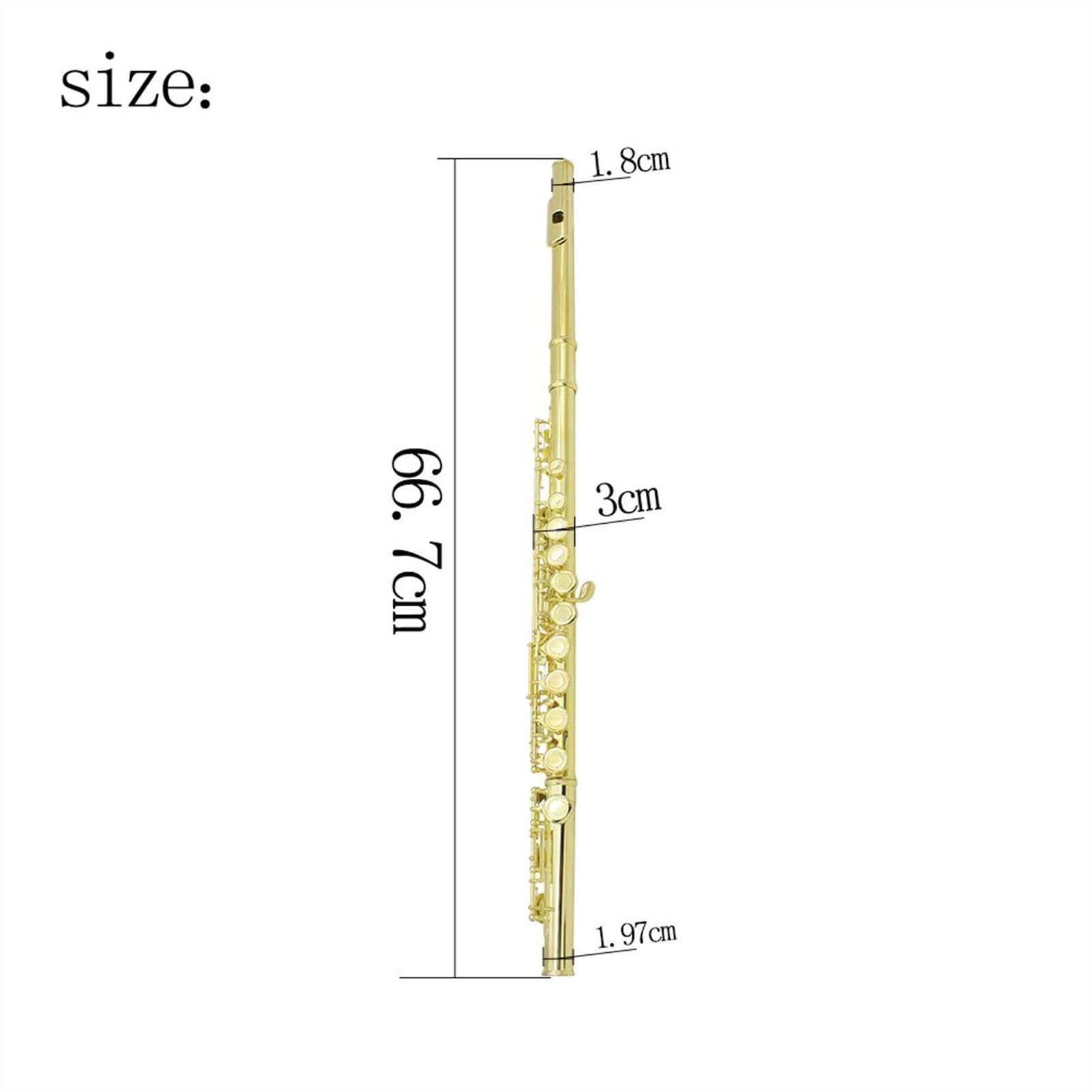 ZUZU 16 Agujeros Abiertos Cerrados C Cruz Transverse Flaute Cupronickel Concierto Instrumento De Flauta con Teclas E Caja De Cuero Accesorios Kit Flauta