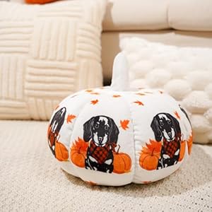 2-Pieces-Pumpkin-Pillow-Dachshund-Pumpkin-Shaped-Pillow-118-Inch-Fall-Harvest-Dog-Throw-Pillows-3D-Shaped-Cushion-Holiday-Decorations-for-Home-Bedroom-Sofa - Cucciolini Doodles 2-Pieces-Pumpkin-Pillow-Dachshund-Pumpkin-Shaped-Pillow-118-Inch-Fall-Harvest-Dog-Throw-Pillows-3D-Shaped-Cushion-Holiday-Decorations-for-Home-Bedroom-Sofa