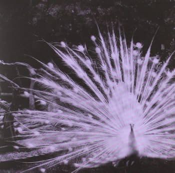 Amazon.co.jp: Pisces Iscariot -Deluxe-: ミュージック