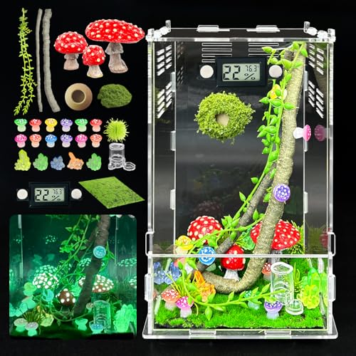 Image of Jumping Spider Enclosure,DIY Insects Habitat,Small Reptile Terrarium Glass House Accessories Set,with Temperature and Humidity Detector Water Feeder Platform Hide,5.5 inchx5.5 inchx9.5 inch (Luminous Mushrooms)