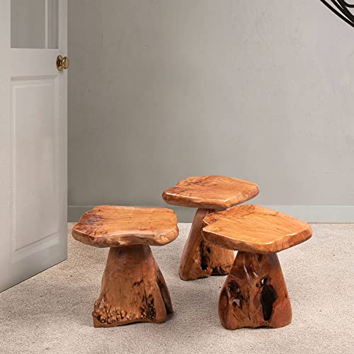 Warmaxx WARMUSHSTOOLNEW2 Cedar Natural Shape Stump Stool 13.5"X12"X14"H Solid Wood End Table Rustic Plant Stand Live Edge Coffee Table For Living Room Bedroom Patio Accent Side Table Outdoor Garden Sit Foot Stool thumb #5