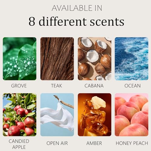 Image of Car Air Freshener - Stone Air Freshener - Car Odor Eliminator - Long Lasting Scent - Car Scent - VISOR CLIP INCLUDED (Candied Apple)