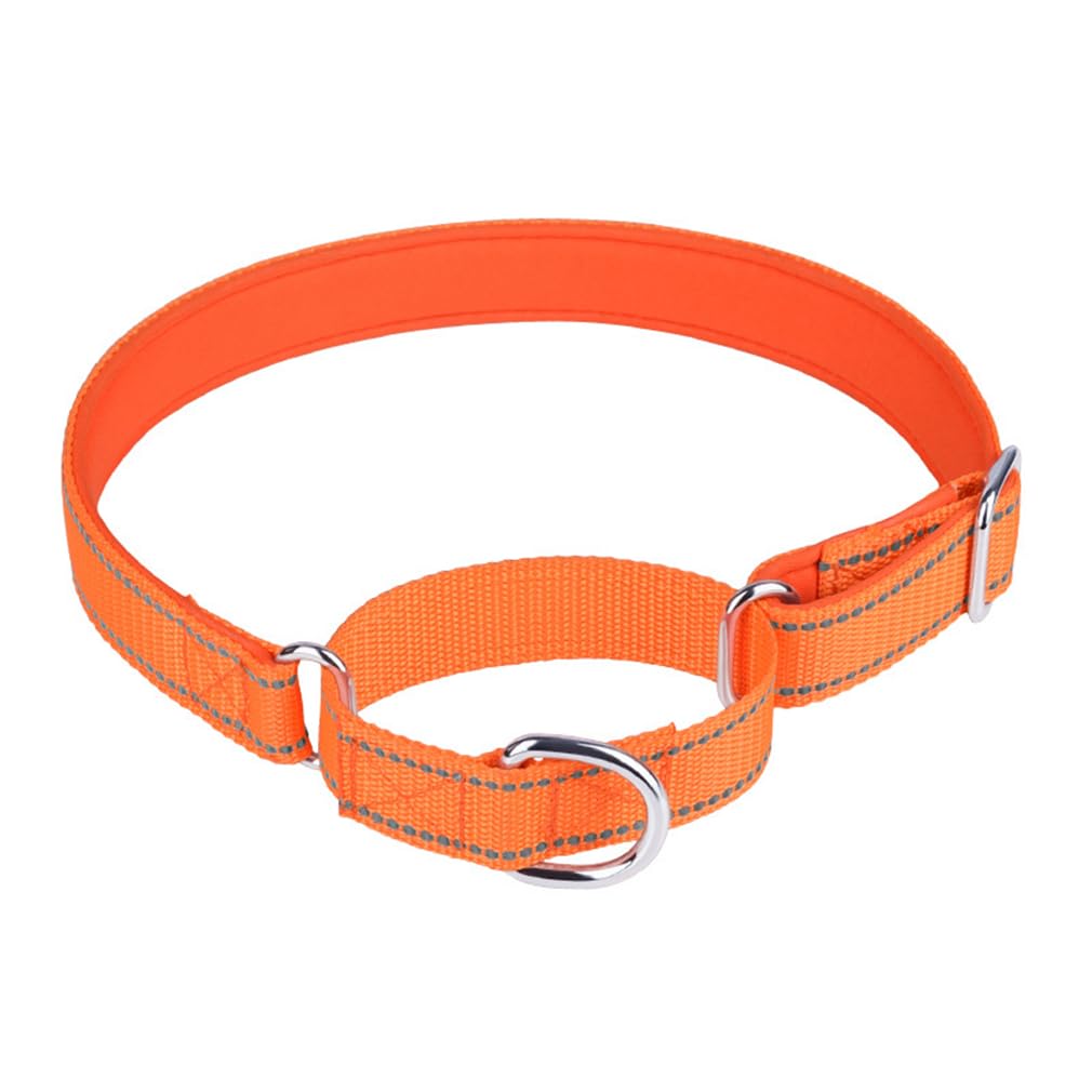 Martingale Dog Collar and Leash Set, Reflective No Pull Training Quick Release Buckle Escape-Proof Puppy Pet Collars Adjustable for Small Medium Large Breed Girl Boys, Orange L