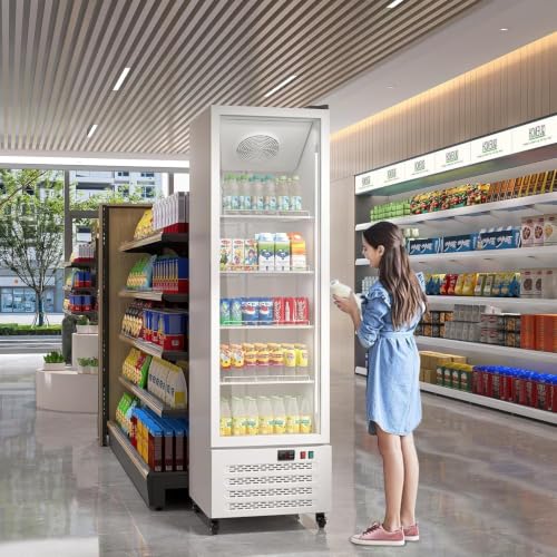 Image of Commercial Refrigerators, Beverage Fridge with Glass Door, Double Front Panel Design, Mobile Display Merchandiser
