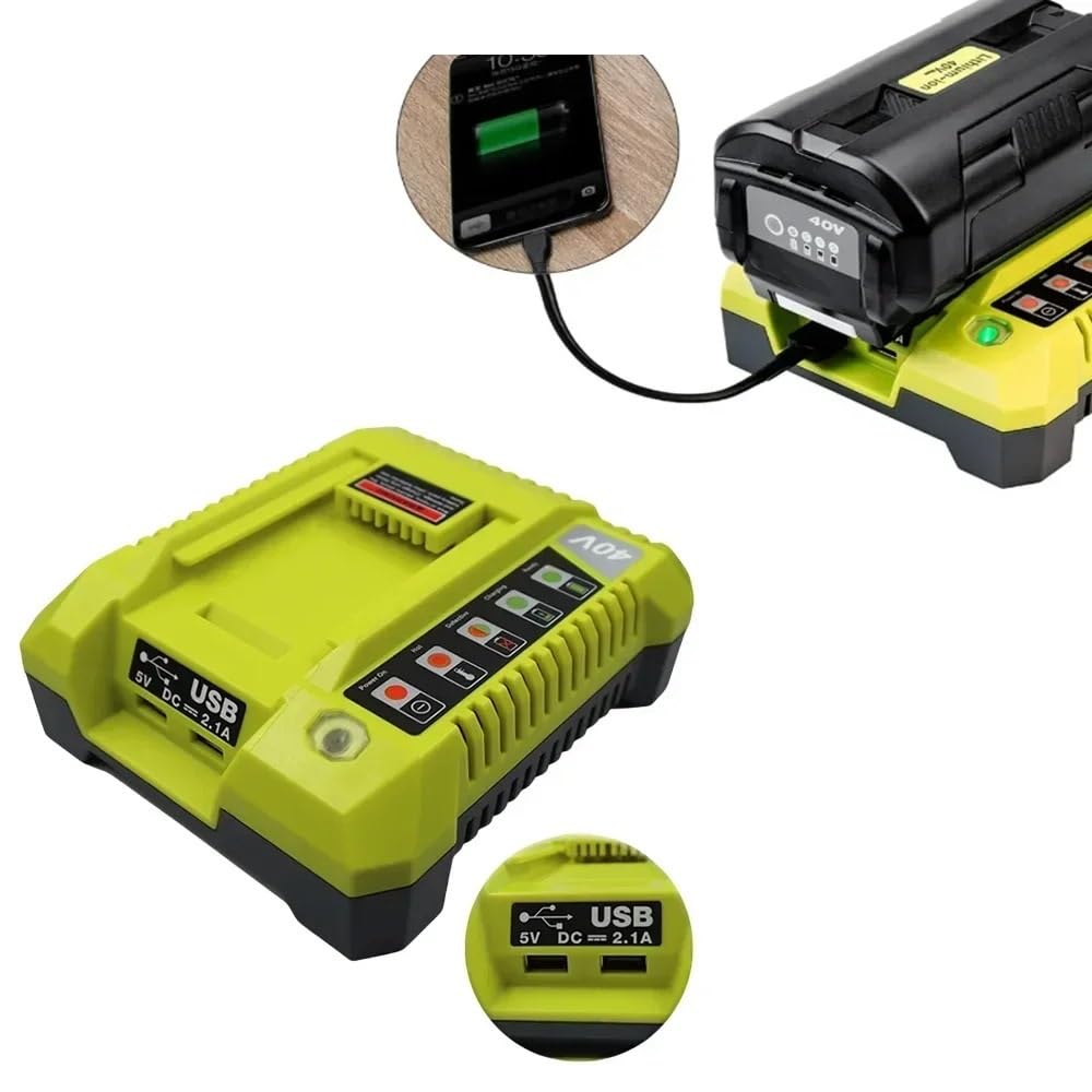 Batteria agli ioni di litio ad alta capacità da 40 V 10 Ah, compatibile con Ryobi,(1pcs Charger)