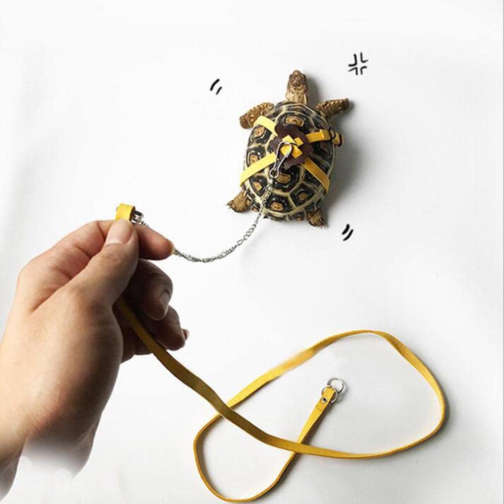 See full amazon price history chart for CALANDIS® Adjustable Reptile Lizard Turtle Harness Leash for Pet Small Animal Yellow CALANDIS® Adjustable Reptile Lizard Turtle Harness Leash for Pet Small Animal Yellow (B0BFXC3M95) Amazon Price History, Amazon Price Tracker