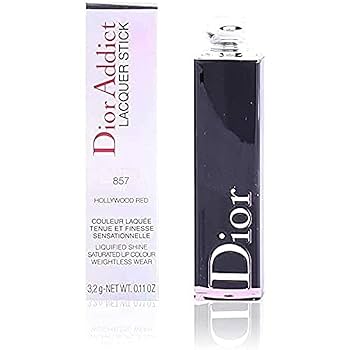 専用販売　Dior Buy Dior B23 High 'Dior Oblique - Shawn Bee Embroidery Patch