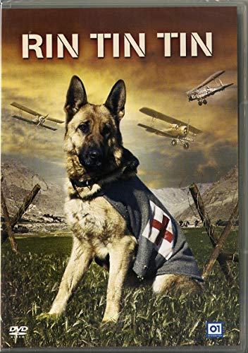  Rin Tin Tin