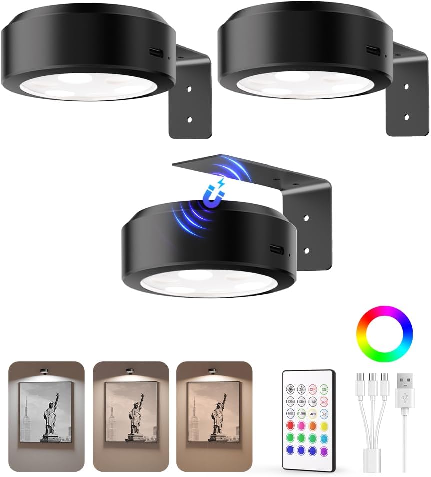 EZVALO Picture Lights for Wall