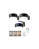 EZVALO Picture Lights for Wall, 2000mAh Rechargeable Battery Magnetic Poster Lights with 3 Color Temps & 12 RGB, Remote Dimmable Timer Painting Light, Wall Decor Light for Art Display, Frame (3 Pack)