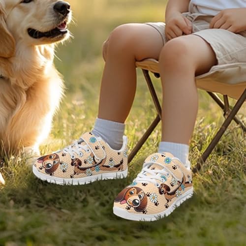 Little Kid Boys Girls Lightweight Breathable Sneakers Strap Athletic Tennis Shoes for Running Walking Cute Dachshund Daisy Pattern White Sole3