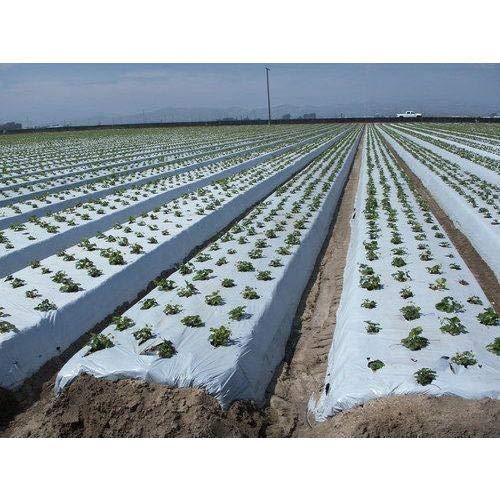 BHAGIRATH 30 Micron Mulching Film/Mulching Paper 30 Micron (Width-1 Meter) 400 Meter (B0978HCVQ1) Amazon Price History, Amazon Price Tracker