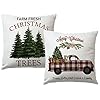   ULOVE-LOVE-YOURSELF-2Pack-Merry-Christmas-Pillow-Cover-18x18-Inch-for-CouchSofaPorch-Xmas-Tree-Gifts-with-Red-Truck-Throw-Cushion-Covers-Christmas-Decorations