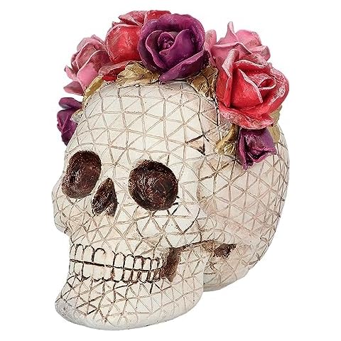 Boland 72290 - Seau Tête de Mort Cover