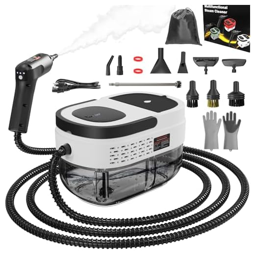 How to get bed bugs out of clothing and luggage High Pressure Handheld Steam Cleaner
