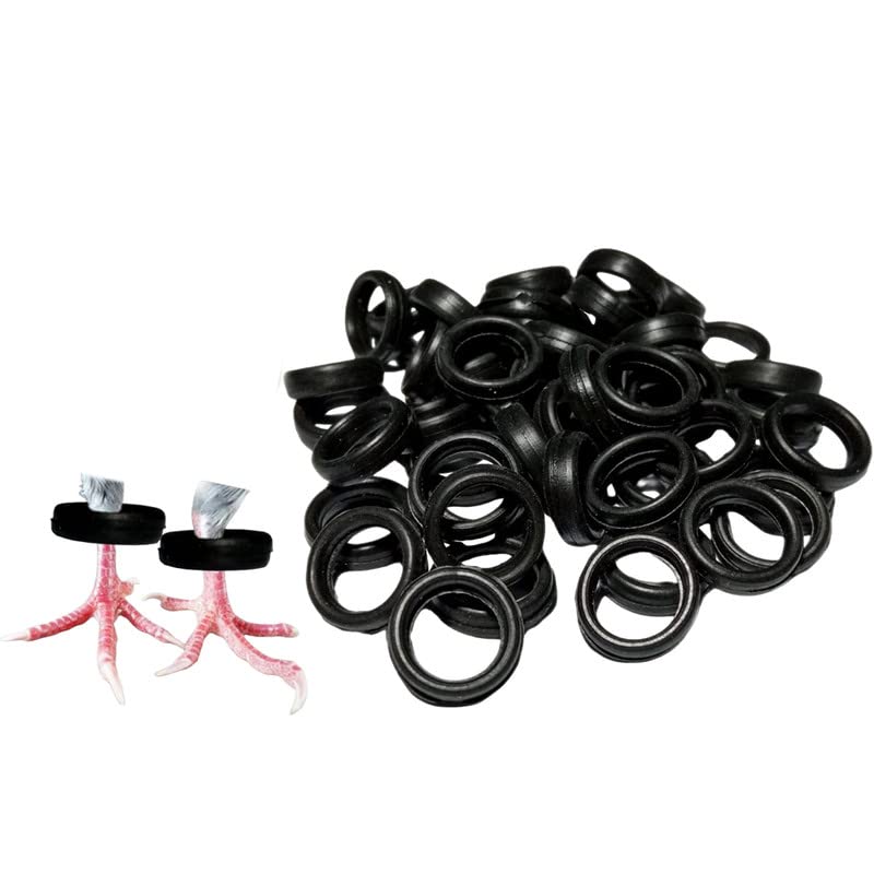 See full amazon price history chart for The Saini Store Pigeon Rubber Rings (Black) (Pack of 50) The Saini Store Pigeon Rubber Rings (Black) (Pack of 50) (B0BVMRLL89) Amazon Price History, Amazon Price Tracker