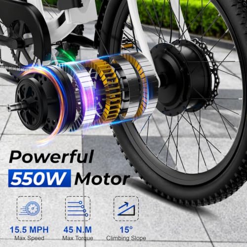 ANCHEER Electric Tricycle for Adults
