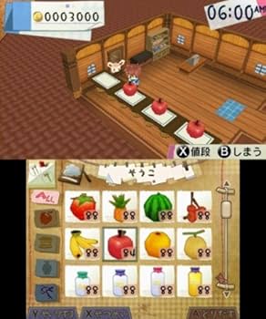 ホームタウンストーリー - 3DS rdzdsi3 Amazon.co.jp: ホームタウンストーリー - 3DS : Video Games