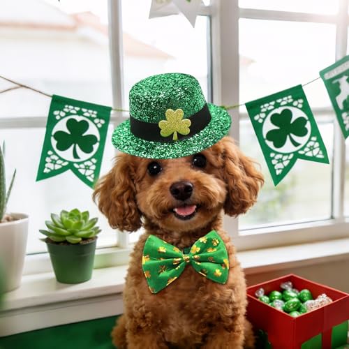 Disfraz Leprechaun de San Patricio para Perros y Gatos miniatura 6