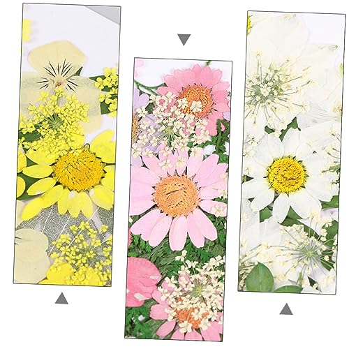 Hohopeti 3 Conjuntos De Material De Flores Secas Pacote De Flores Secas Reais Flores Secas Embelezam