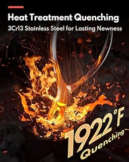 HomeRunPet Tagliaunghie Gatto in Acciaio Martensitico, Sicure e Solide Taglia Unghie Professionali per Gatti Piccoli Cani con Lama Affilata, Impugnature Antiscivolo, Facili per la Cura Unghie a Casa