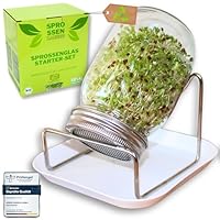 Sprossenzauber® Sprossenglas 1er Set 500ml – Edelstahl-Deckel & Auffangschale – Sprossen selber ziehen – Keimglas für Brokkoli, Alfalfa, Kresse – Einsteiger-Set für frische Microgreens