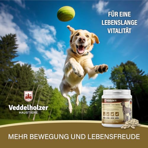 Veddelholzer VERGLEICHSSIEGER 2024 Hunde Gelenktabletten mit Grünlippmuschel Hund MSM & Teufelskralle Glucosamin & Kollagen 125 Kapseln Hunde Leckerlis