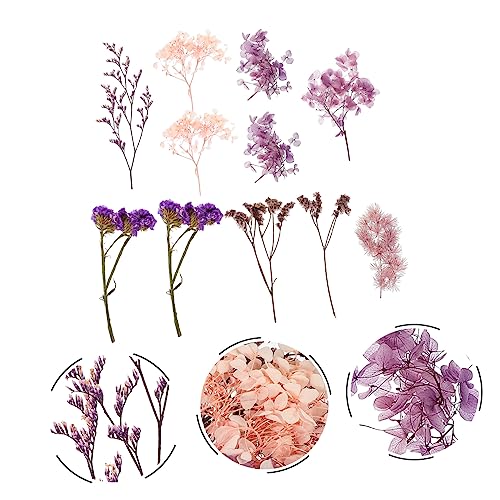 Kit de flores secas para manualidades Cabilock miniatura 5