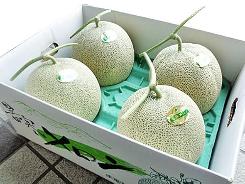 kCY iGj2kg×4ʁyԌz7{`8{yo׌:kClGH[z