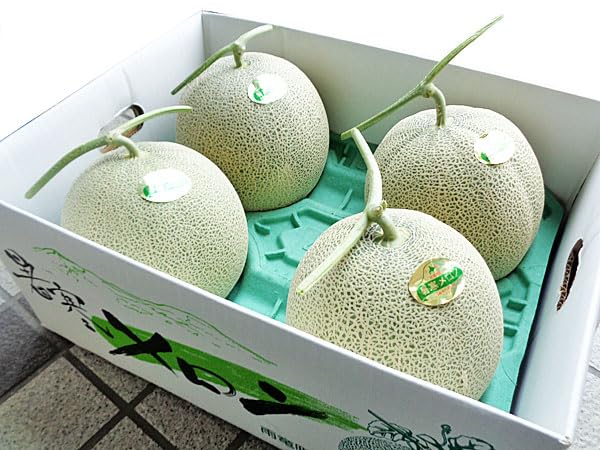 Amazon.co.jp: 北海道産 暑寒メロン（秀）2kg×4玉【期間限定】7月上旬