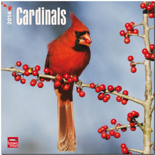 Cardinals 18-Month 2014 Calendar (Multilingual Edition)