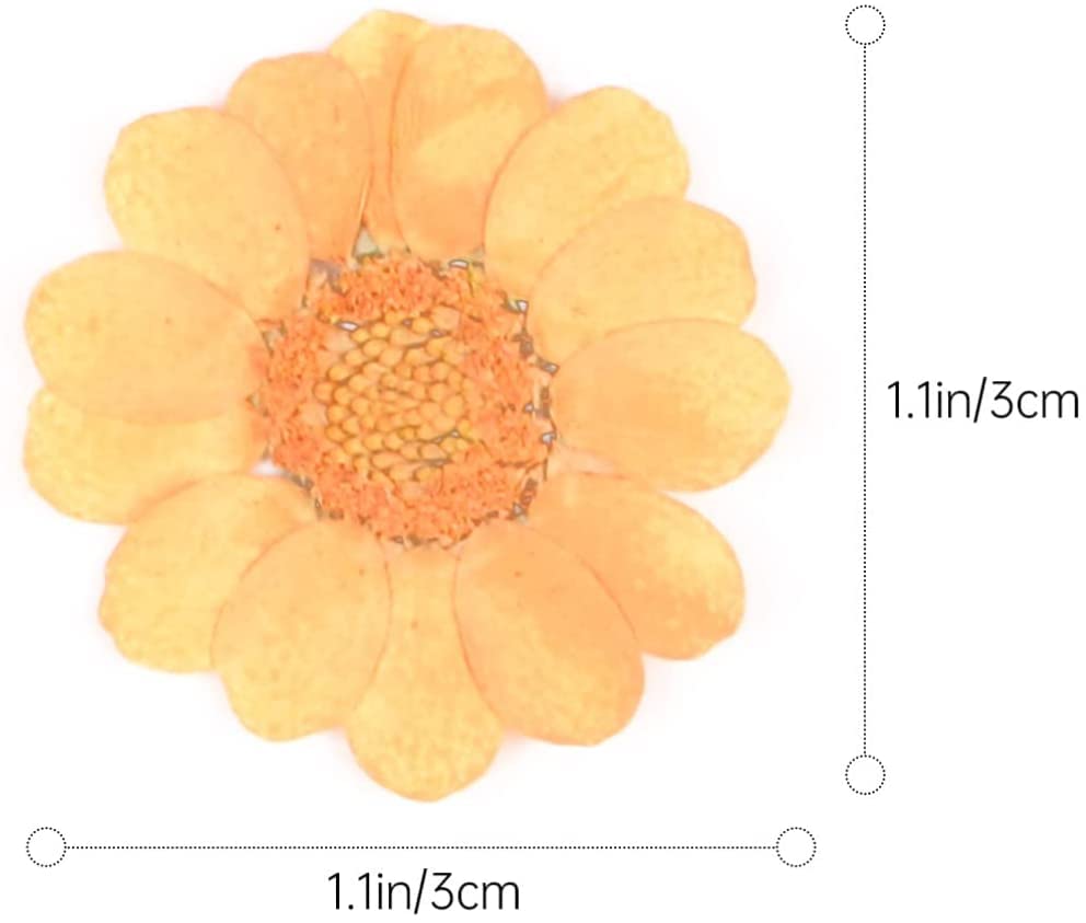 Flores secas naturales Lindagary 40 piezas para manualidades miniatura 2