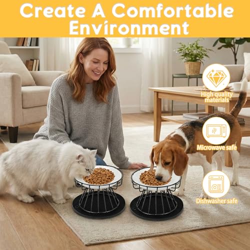 Staranry 2 Stück Erhöhter Futternapf Katze mit Napfunterlage Silikon und Metallständer, Katzennapf Erhöht 15 cm Durchmesser, 10 cm Metallständer, für Futter Wasser, Katzen und Kleine Hunde, Schwarz