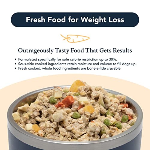 Best Frozen Dog Food Buying Guide Gistgear