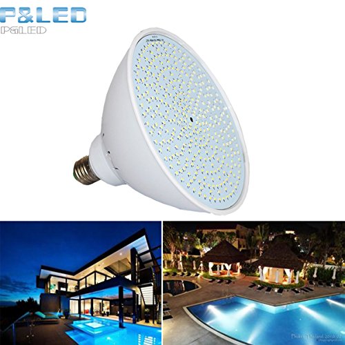 inground pool light switch