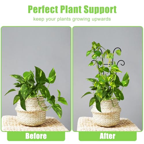 Image of Coomin 14.5in Small Plant Trellis for Climbing Plants Indoor, 2P