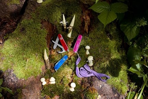 Victorinox Schweizer Taschenmesser Kinder My First Victorinox Swiss Army Knife, Multitool, 9 Funktionen, Klinge ohne Spitz, Schraubendreher