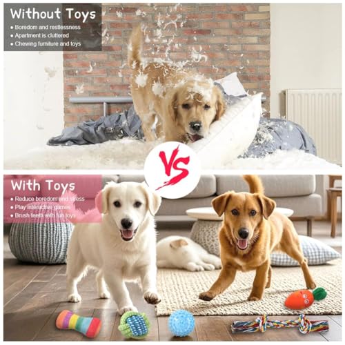 AMFUN 9 Stück Hundespielzeug Set, Hundespielzeu Kleine Hunde, Plüsch Hundespielzeg Mit Quietscher, Quietschend Kauspielzeug für Kleine Mittlere Hunde, Plüschspielzeug