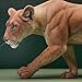 MMOS X JXK Walking Lioness with Intricate Texture Details, Gift for Lion Lovers