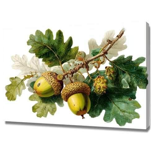 Affiche de décoration murale botanique vintage pour habiller un mur vide avec cadre