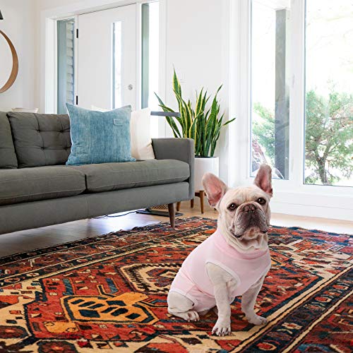 Image of SAWMONG Dog Recovery Suit, Recovery Suit for Dogs After Surgery, Dog Spay Surgical Suit for Female Dogs, Dog Onesie Bodysuit for Surgery Male Substitute E-Collar Cone, Pink, XXX-Large