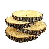 Woodlandia Basswood Disk 10x1 Inches - 4 Pack, Cracked