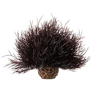 BiOrb – Lys di mare, colore: Rosso