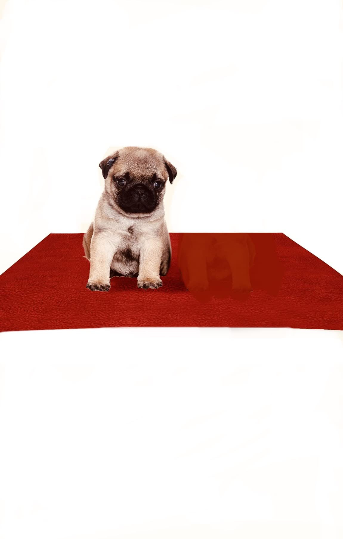 GINJUC Training Pad Waterproo, Reusable, Washable Pee Pad,Dog Bed Sheet for Hygenic Pet Dry Sheet - Couch/Sofa/Car Seats/Mattress, All Pets – Medium (100cm X 70cm) Red (B09RSRDP2B) Amazon Price History, Amazon Price Tracker